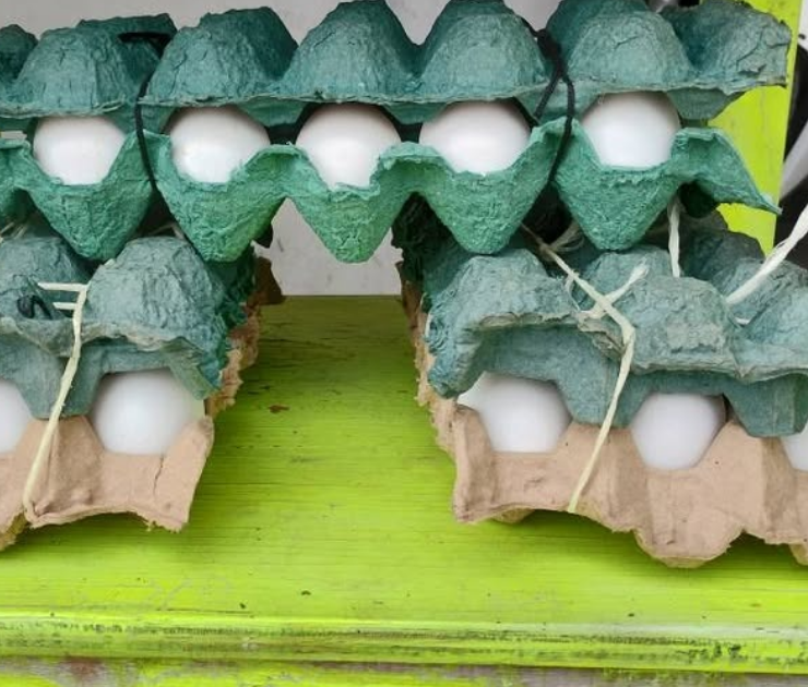 Se desploma el precio del huevo en Campeche