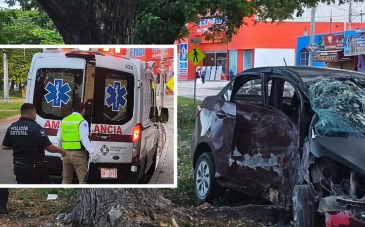 Choque contra un árbol en "La Concordia". Se quedó dormido al volante