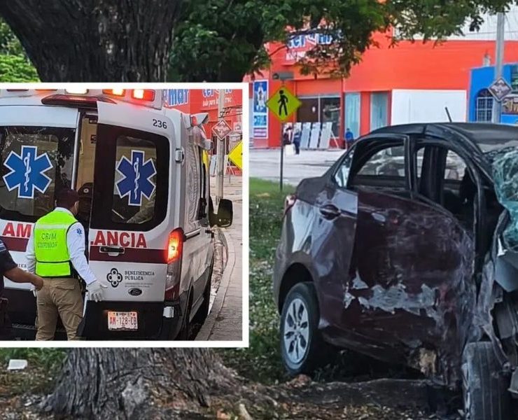 Choque contra un árbol en "La Concordia". Se quedó dormido al volante