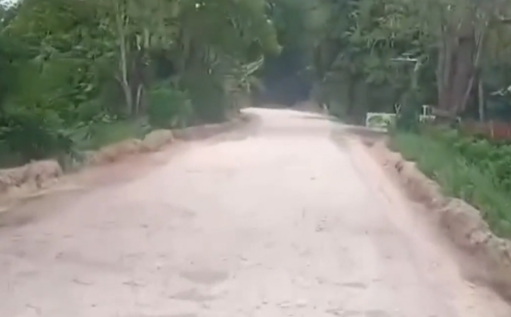 Inicia reconstrucción de la carretera Palizada–Ribera San Eduardo