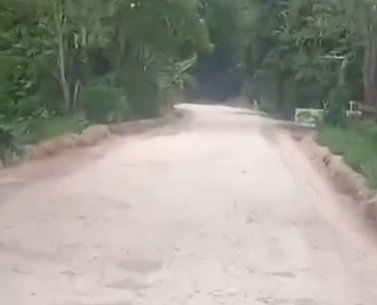 Inicia reconstrucción de la carretera Palizada–Ribera San Eduardo