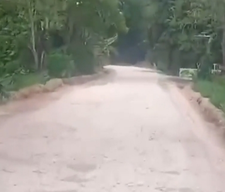 Inicia reconstrucción de la carretera Palizada–Ribera San Eduardo