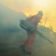 Limitan fumigaciones en municipios de Campeche