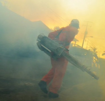 Limitan fumigaciones en municipios de Campeche