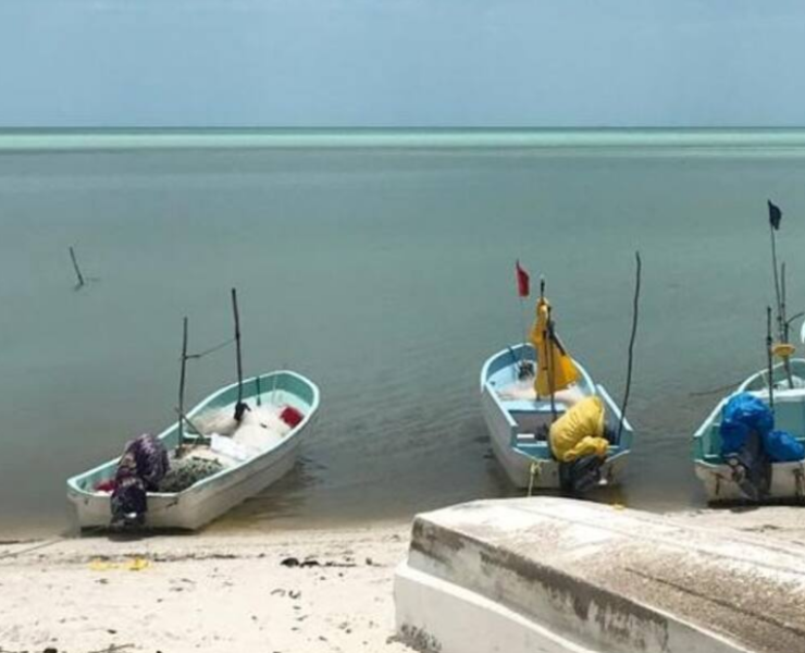 SEMARNAT dice que no hay hidrocarburos en la Costa Campechana