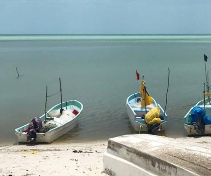 SEMARNAT dice que no hay hidrocarburos en la Costa Campechana