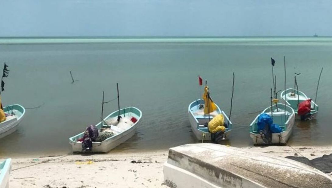 SEMARNAT dice que no hay hidrocarburos en la Costa Campechana