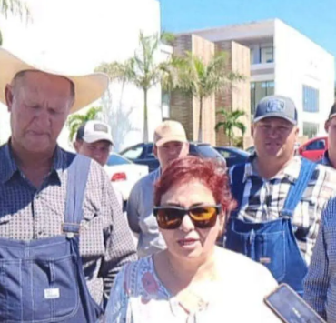 Menonitas de Campeche denuncian despojo judicial