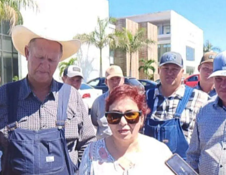 Menonitas de Campeche denuncian despojo judicial
