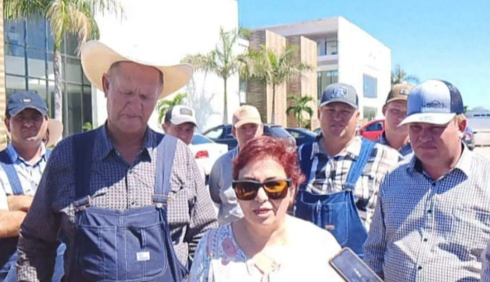 Menonitas de Campeche denuncian despojo judicial