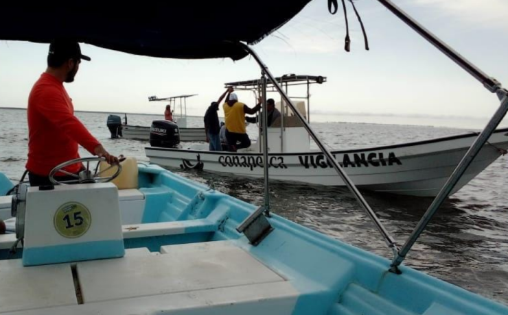 CONAPESCA intensifica operativos en Campeche