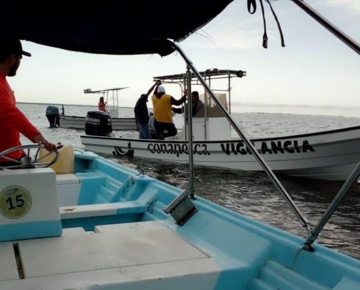 CONAPESCA intensifica operativos en Campeche