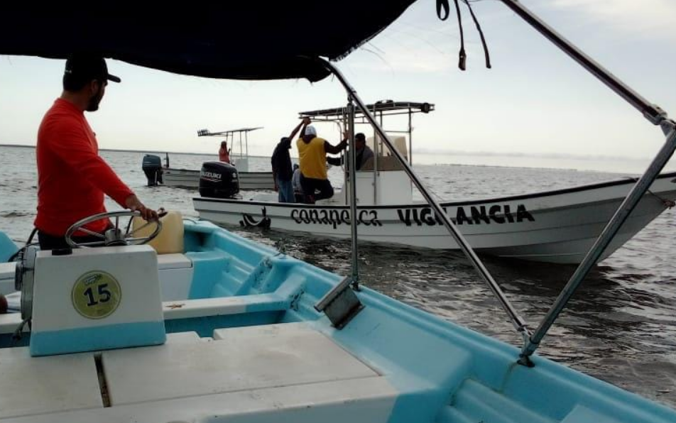 CONAPESCA intensifica operativos en Campeche