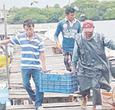 Pescadores atraviesan crisis en Campeche