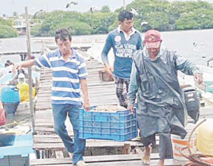 Pescadores atraviesan crisis en Campeche