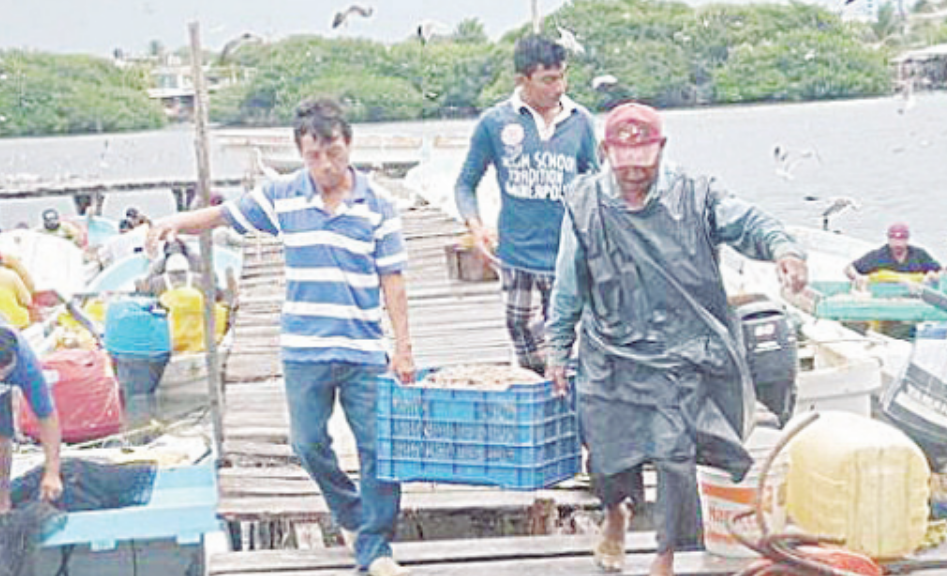 Pescadores atraviesan crisis en Campeche