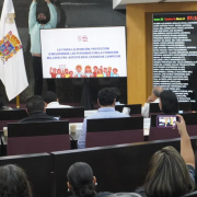 Campeche aprueba la Ley de Autismo por unanimidad
