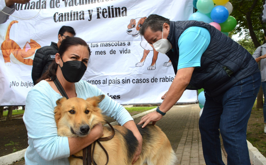 Zonas con mayor cobertura de vacunación para perros y gatos