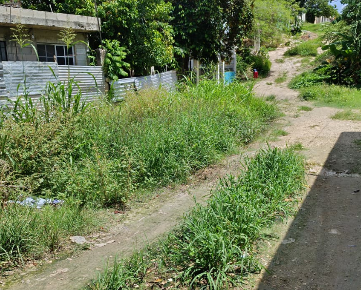 Vecinos piden pavimentación urgente en Lázaro Cárdenas, Campeche