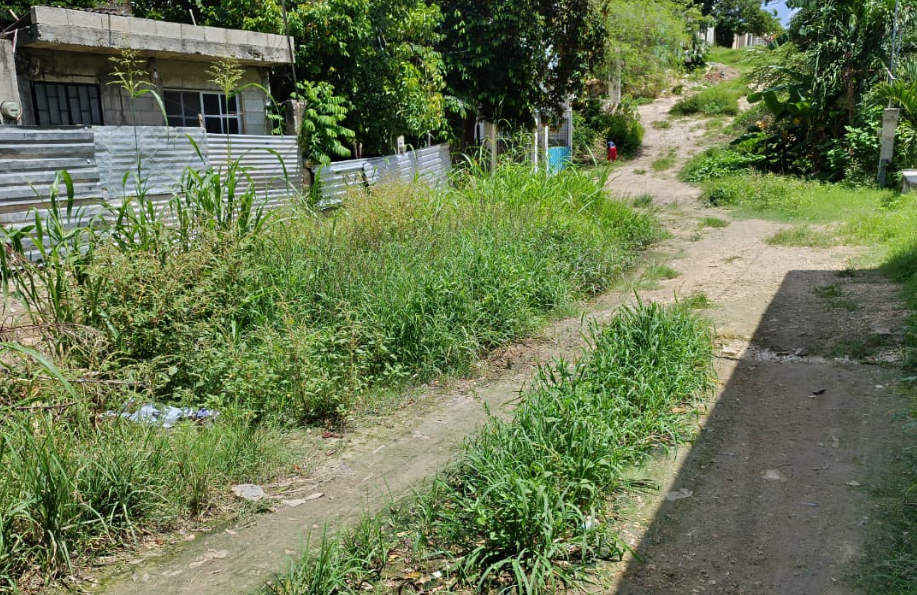Vecinos piden pavimentación urgente en Lázaro Cárdenas, Campeche