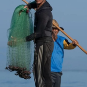 Pescadores de Campeche apuestan por lo artesanal