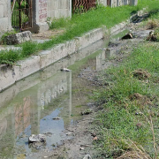 Las calles se encuentran entre maleza y agua en la colonia San Joaquín