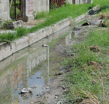 Las calles se encuentran entre maleza y agua en la colonia San Joaquín