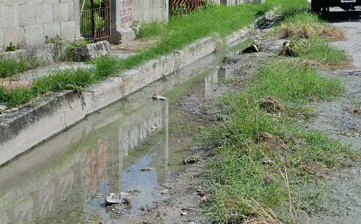Las calles se encuentran entre maleza y agua en la colonia San Joaquín