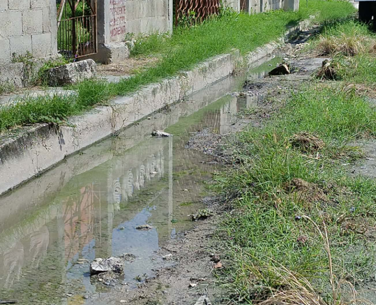 Las calles se encuentran entre maleza y agua en la colonia San Joaquín