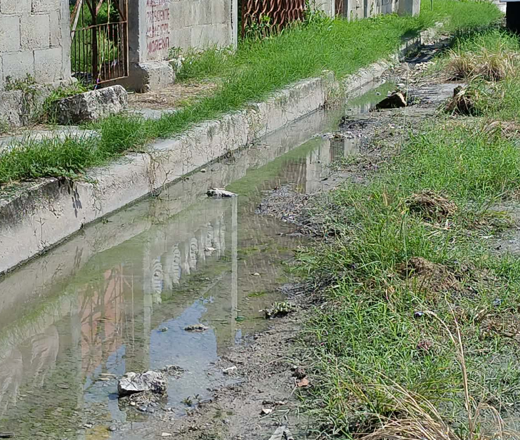 Las calles se encuentran entre maleza y agua en la colonia San Joaquín