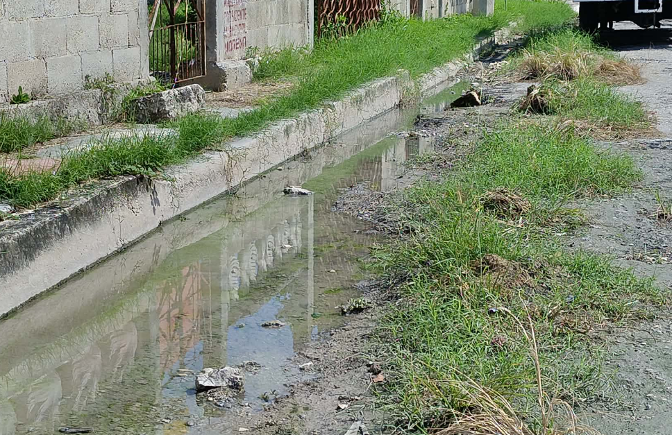 Las calles se encuentran entre maleza y agua en la colonia San Joaquín