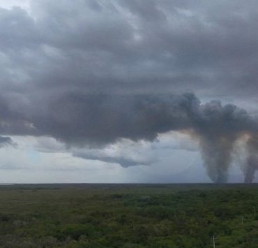 Arde el manglar de Kobén: humo invade las cercanías