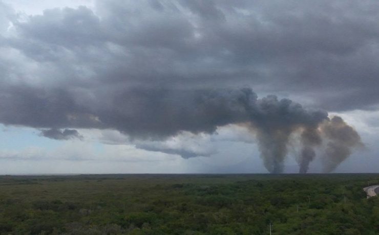 Arde el manglar de Kobén: humo invade las cercanías