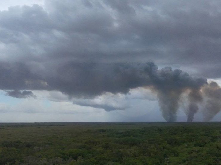 Arde el manglar de Kobén: humo invade las cercanías