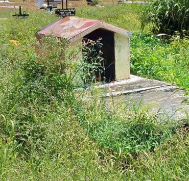 En Campeche hay tumbas entre agua y maleza
