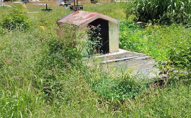 En Campeche hay tumbas entre agua y maleza