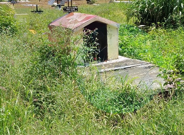 En Campeche hay tumbas entre agua y maleza