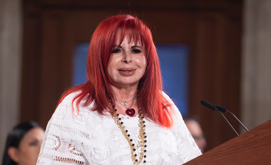 Los cuestionamientos crecen en redes