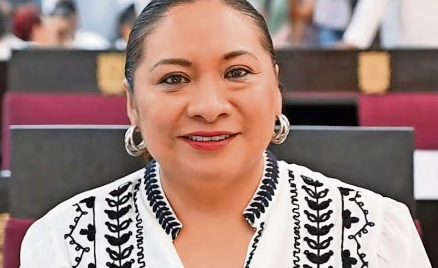 Diputada de Campeche es acusada de maltrato animal