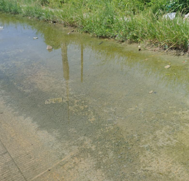 Un "río" de aguas negras afecta a vecinos de fraccionamiento Presidentes de México