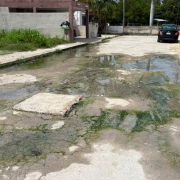 Desbordan aguas negras en Villas Dalias, un problema común