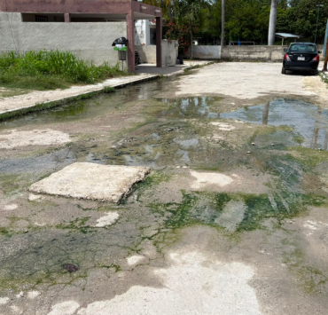 Desbordan aguas negras en Villas Dalias, un problema común