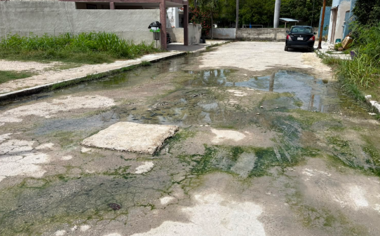 Desbordan aguas negras en Villas Dalias, un problema común
