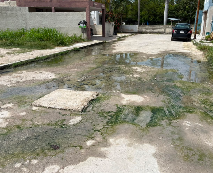 Desbordan aguas negras en Villas Dalias, un problema común