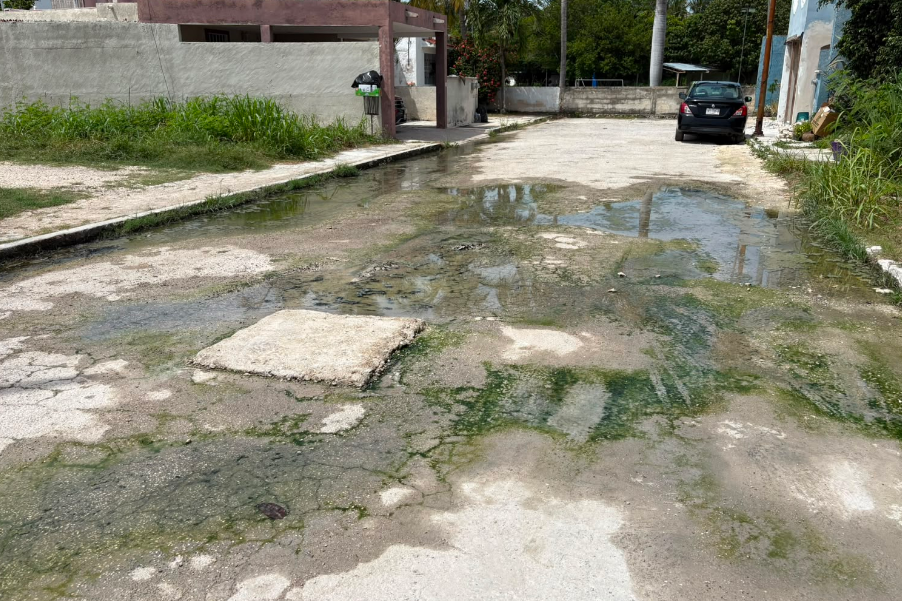 Desbordan aguas negras en Villas Dalias, un problema común