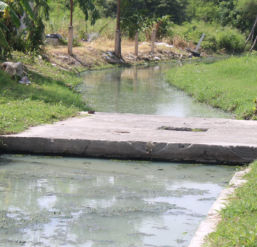 Nuevo problema sanitario brota en "Siglo XXI"