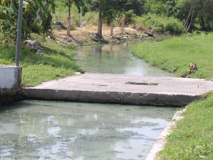 Nuevo problema sanitario brota en "Siglo XXI"