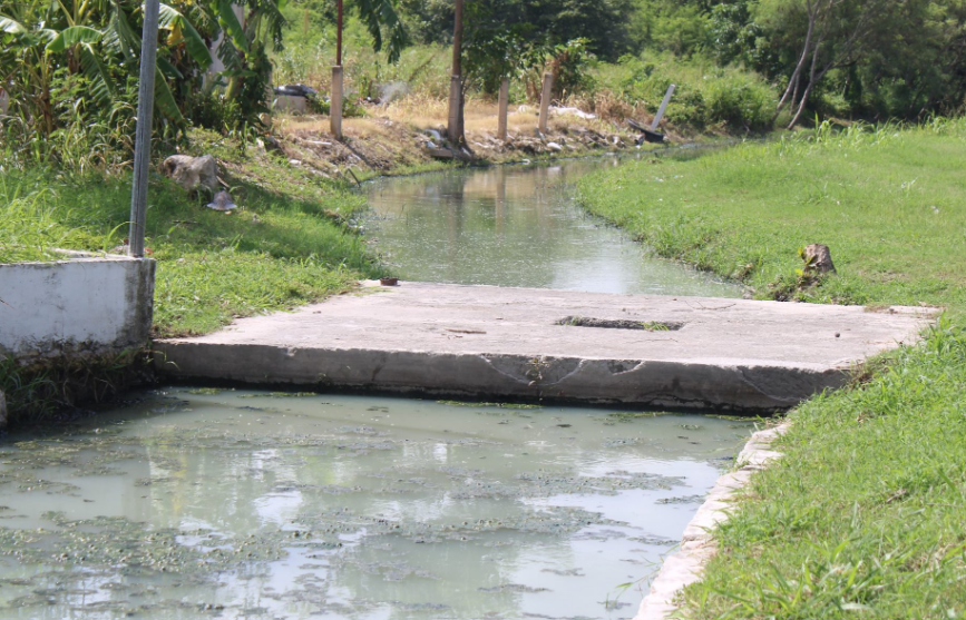 Nuevo problema sanitario brota en "Siglo XXI"