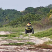 Cuatrimotos destruyen nidos de tortugas Carey en Punta Xen