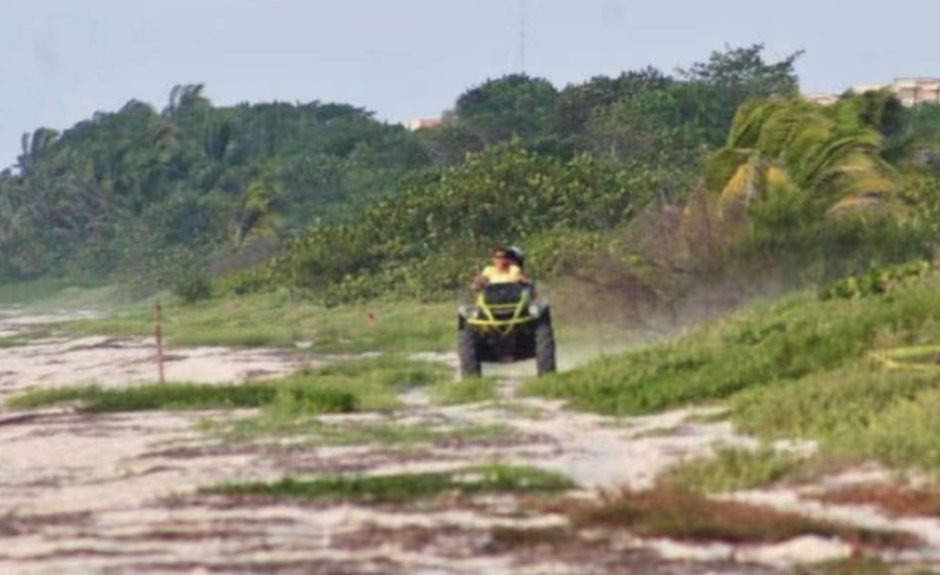 Cuatrimotos destruyen nidos de tortugas Carey en Punta Xen